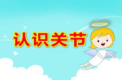 大班認識關節PPT課件教案